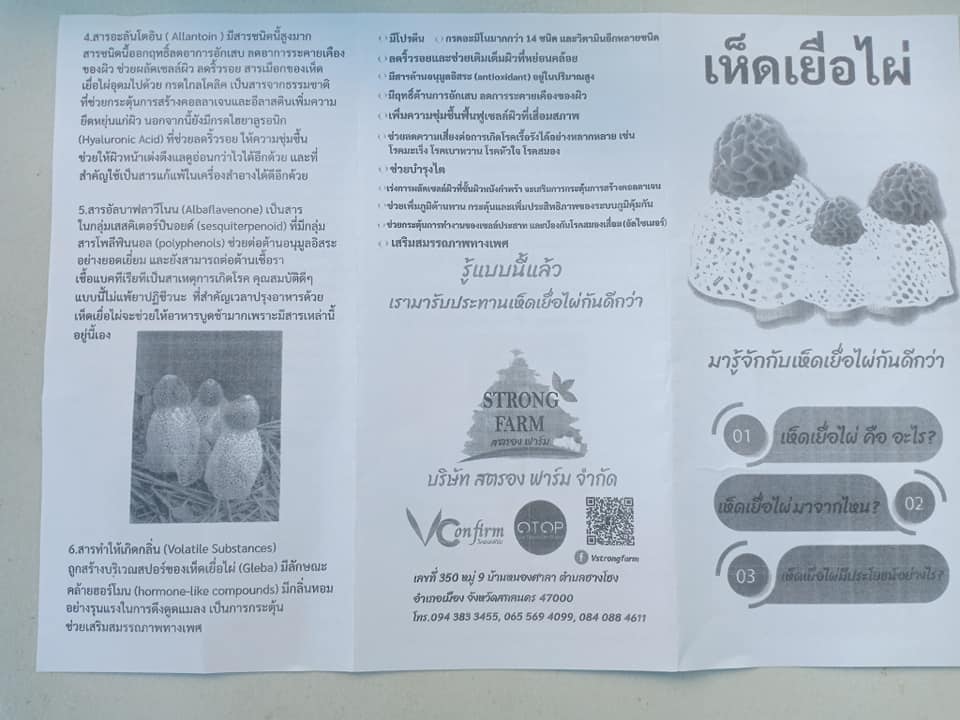 น้ำห็ดเยื่อไผ่ - Image 2