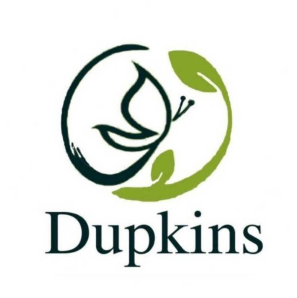 Dupkins Detox Cleanser Soap - Image 2