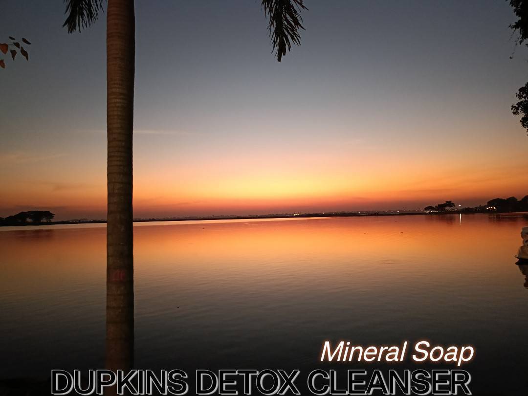 Dupkins Detox Cleanser Soap - Image 5