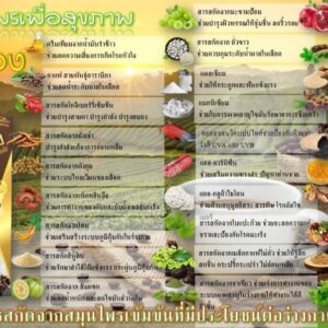 Alternative view of ธุรกิจกาแฟ จำปาทอง
