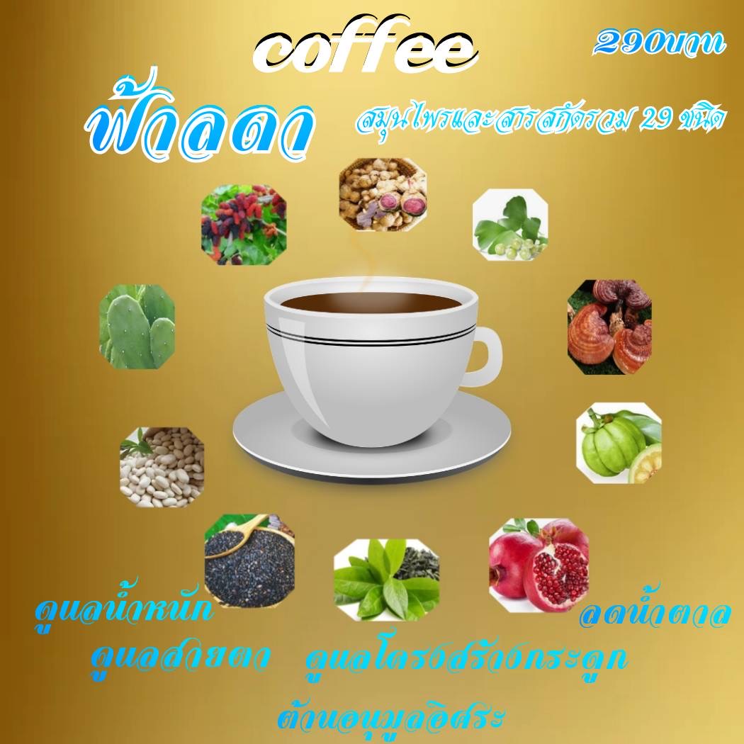 ฟ้าลดา-โปรตีน - Image 3