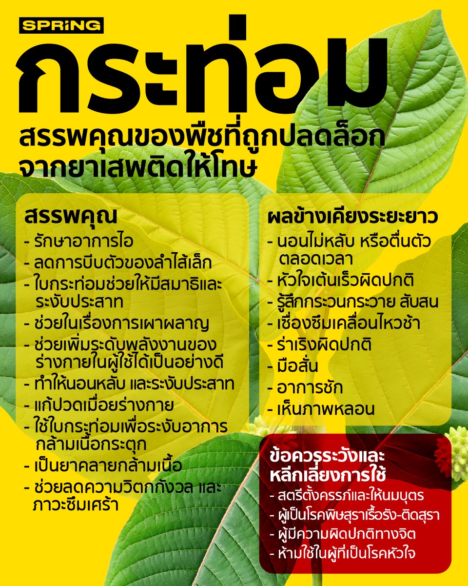 กาแฟกระท่อม - Image 5