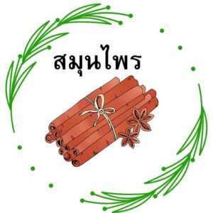 สมุนไพร