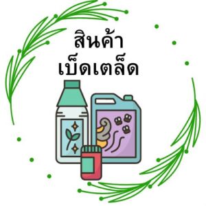 เบ็ดเตล็ด