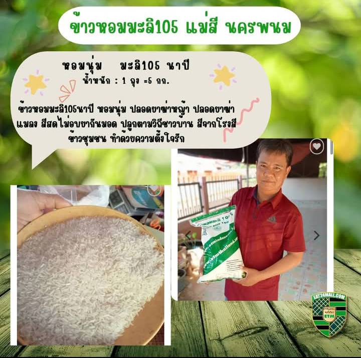 ข้าวหอมมะลิ 105 แม่สี นครพนม