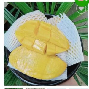 มะม่วงน้ำดอกไม้ *พรีออร์เดอร์สินค้าได้ประมาณปลายเดือนมีนาคม68*