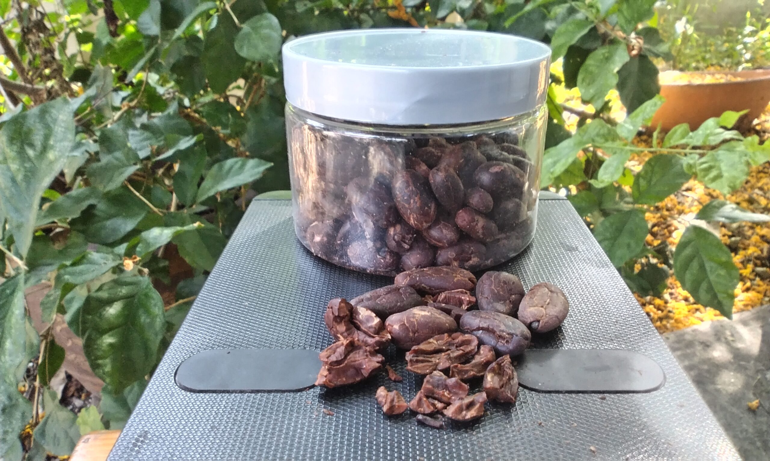 คาเคานิบส์(Cacao Nibs) - Image 5
