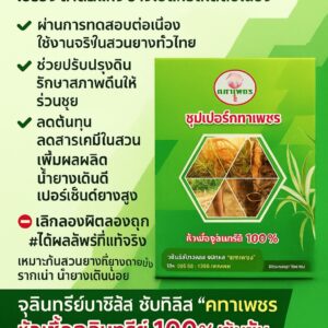 Alternative view of จุลินทรีย์สำหรับป้ายหน้ายาง