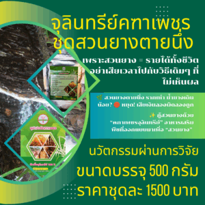 จุลินทรีย์คฑาเพชร