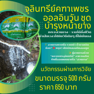 จุลินทรีย์ออลอินวัน
