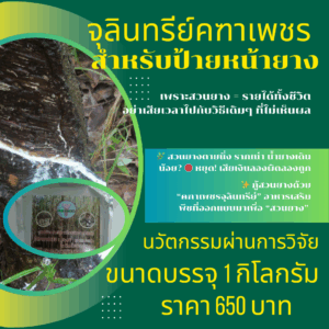 จุลินทรีย์สำหรับป้ายหน้ายาง