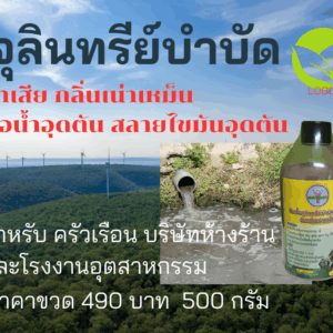จุลินทรีย์สำหรับบำบัดน้ำเน่าและกลิ่น