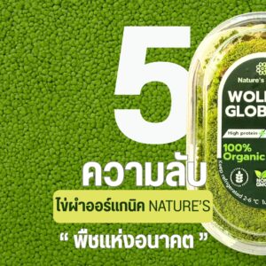 Alternative view of ไข่ผำอบแห้ง ไข่ผำออแกนิค