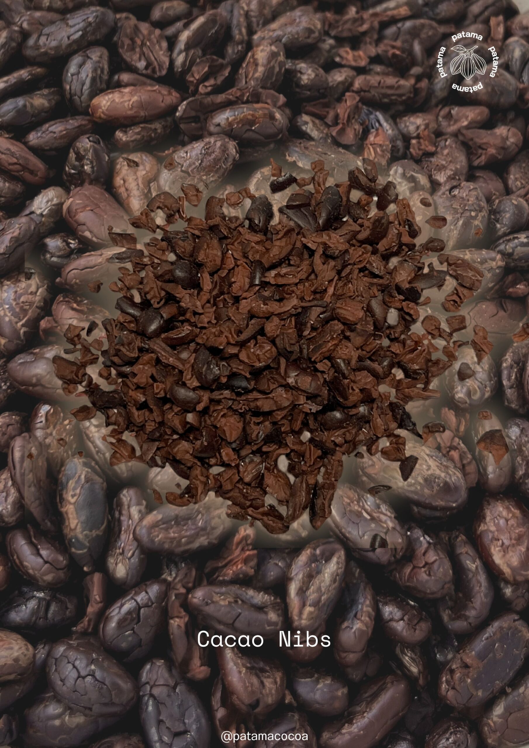 โกโก้นิบส์-Cocoa Nibs - Image 3